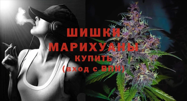 гидра Армянск