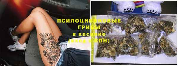 MESCALINE Аркадак