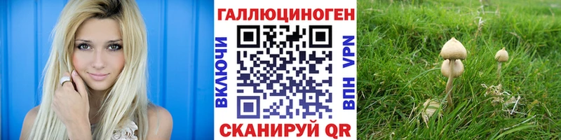 Псилоцибиновые грибы Cubensis  Воронеж 